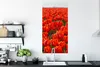 MuchoWow® Poster Ein großes Feld mit ausschließlich roten Produktbild-Vorschau 3