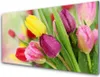Acrylglasbilder 100x50 Wandbild Druck Tulpen Pflanzen Produktbild-Vorschau 1