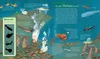 WAS IST WAS Junior Band 17. Das Meer Anteprima dell’immagine prodotto 3