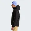 Jas The North Face NF0A8G0RJK31 voor Heren Productafbeelding-voorbeeld 27