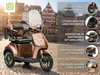 E-Seniorenmobil Denia, Lithium-Akku, 3-Rad, 1000 Watt, Produktbild-Vorschau 18