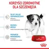 Royal Canin Mini Puppy, Welpe, Klein (5-10 kg), Geflügel, Produktbild-Vorschau 11