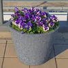 A planter filled with purple and white pansies sits on a paved surface. Produktbild-Vorschau
