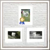 A collage of framed pictures of a white dog, displayed on a white brick wall background. Anteprima dell’immagine prodotto