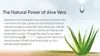 Aloe Vera Gel Spray | Organisch & Vegan | KOSMETIKANALYSE: Produktbild-Vorschau 10