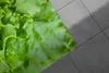 Küchenmatte 100x150 cm Vinylmatte Bodenmatte Dekoration Produktbild-Vorschau 4