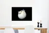 MuchoWow® Poster Fische - Meerestiere - Porträt 60x40 cm - Produktbild-Vorschau 5