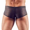 Svenjoyment Pants im semitransparentem Streifen-Look L Produktbild-Vorschau 4