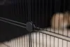 Enclosure - KERBL - Hopsi - Indoor/Outdoor Use Productafbeelding-voorbeeld 3