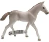 Schleich 17079 - Farm World - Holsteiner Fohlen (13860) Produktbild-Vorschau 2