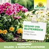 Neudorff NeudoHum Balkon- & KübelpflanzenErde - Torffreie Produktbild-Vorschau 6