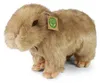 Peluche Capibara 30 Cm Ecologico Anteprima dell’immagine prodotto 2