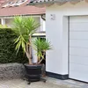 XINZI 2 Stück Pflanzenroller Pflanzenrolle Metall, 30 cm Produktbild-Vorschau 9