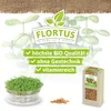 Artikelbild 9 von 'BIO Keimsprossen Ruca-Salatrauke' aus der Kategorie Keimsprossen Produktbild-Vorschau