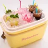 Polarbox Perla Gold, Termobox, 12 l, Purpurová, Polystyren, Náhled obrázku produktu 7