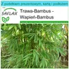 SAFLAX - Zestaw prezentowy - Wapień-Bambus - 50 Nasiona - Z Podgląd zdjęcia produktu 6