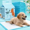 A puppy is lying on a training pad next to a box of training pads. Náhľad obrázku produktu