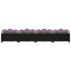 vidaXL Hochbeet 160x40x23 cm Polypropylen Voir les images du produit 3