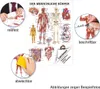 Der menschliche Körper Mini-Poster Anatomie 34x24 cm Produktbild-Vorschau 2