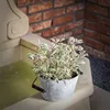 Vasca in zinco KADAX da 6 litri per giardino, vasca per Anteprima dell’immagine prodotto 2