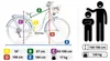 IwoBike, dámské městské kolo Cornflowers, 28 palců, s Náhled obrázku produktu 6