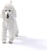 Schleich Pudel 13917 Produktbild-Vorschau 3
