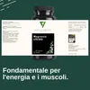 Vita Elements Magnesio Citrato Premium Set da 3 365 Capsule Anteprima dell’immagine prodotto 6
