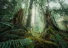 La forêt fascinante Ravensburger 12000292 Voir les images du produit 2