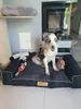 Letto grande per cani divano per cani cuscino per cani Anteprima dell’immagine prodotto 5