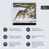 Wandkalender 2027: Wölfe – Beeindruckende Naturfotografie Produktbild-Vorschau 7