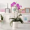 A potted orchid with pink flowers sits on a marble countertop, with shelves of framed art in the background. Produktbild-Vorschau
