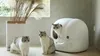 PetKit - P9902 - Katzentoilette Produktbild-Vorschau 6