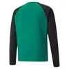 Puma TeamLIGA Trainingssweat Herren 657238-05 - L (52/54 Náhled obrázku produktu 2