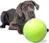 Palla da tennis gigante XXL 24 cm, giocattolo per cani Anteprima dell’immagine prodotto 1