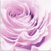 ARTland Wandbild Alu für Innen & Outdoor Pastell Rose Produktbild-Vorschau 1