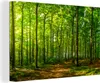 OneMillionCanvasses® - Leinwandbilder - 150x100 cm, Wald - Produktbild-Vorschau 1