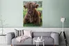MuchoWow® Poster Schottischer Highlander - Kröte - Tiere Produktbild-Vorschau 5