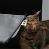 D&D Heizkörper-Hängematte I Love Happy Cats "Oliver" grau Produktbild-Vorschau 5