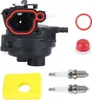 Vergaser-Kit für B&S 300e 450e 500e 550e 575e 600e Produktbild-Vorschau 1