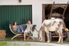 AMAZONAS Loungesofa Siena Due Anthracite inkl. Sitzkissen Produktbild-Vorschau 10