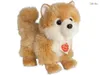 Teddy-Hermann Teddy Hermann Zwergspitz, 22 cm 919223 Produktbild-Vorschau 7