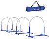 Attrezzature per l'agility per cani PawHut, set per agility Anteprima dell’immagine prodotto 1