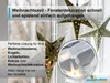 4x Fensterhaken klemmbar mit Distanzhalter, weiß, Produktbild-Vorschau 3