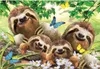 Educa - Faultierfamilie Selfie 500 Teile Puzzle Produktbild-Vorschau 2