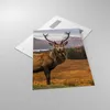 Bilder auf glas - Einteilig - Rehe Wiese Berge - 70x100cm - Produktbild-Vorschau 2