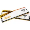 PATRIOT MEMORY Patriot Memory Viper Elite 5 PVER532G60C36KT Anteprima dell’immagine prodotto 3