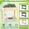 A raised garden bed with plants and gardening tools, shown with different color options and DIY painting option. Podgląd zdjęcia produktu