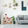 Relaxdays 10037578, Wielopoziomowy stojak na rośliny, Podgląd zdjęcia produktu 2