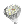 A close-up studio shot of an LED grow light bulb against a white background. Anteprima dell’immagine prodotto