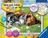 Tiefer Schlaf Ravensburger 28015 Produktbild-Vorschau 8